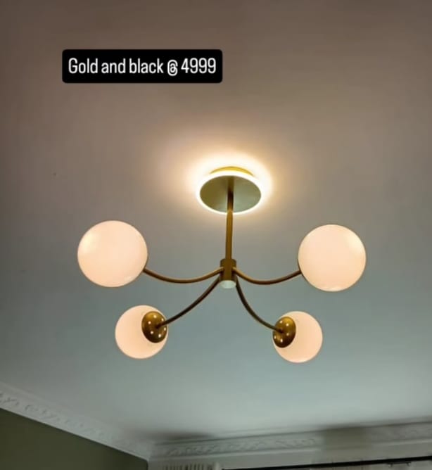 WhatsApp Image 2025-09-29 at 13.31.55_56056d19