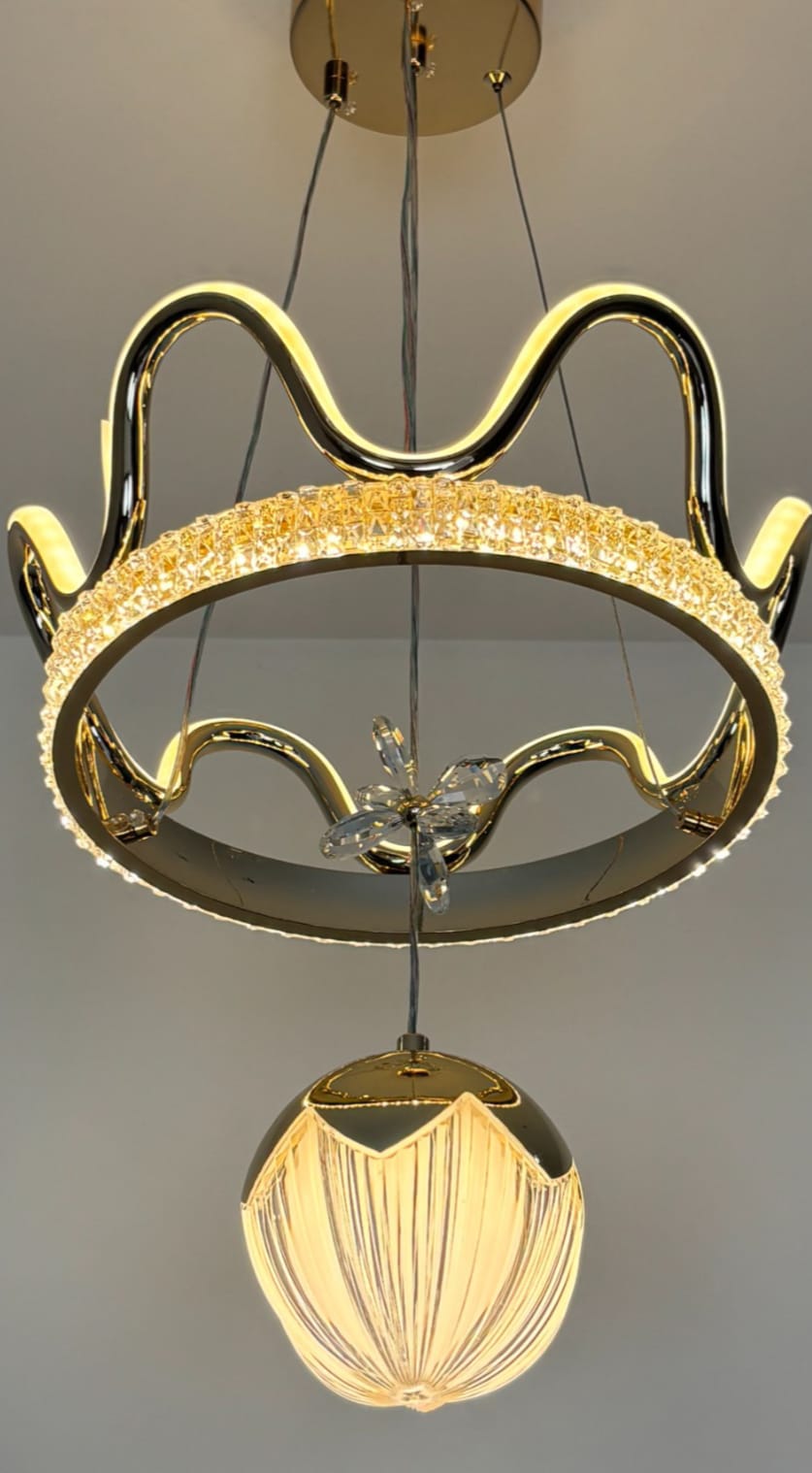 WhatsApp Image 2025-10-09 at 11.09.48_5bad95ee