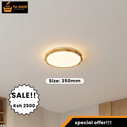 350mm LED Ceiling Light